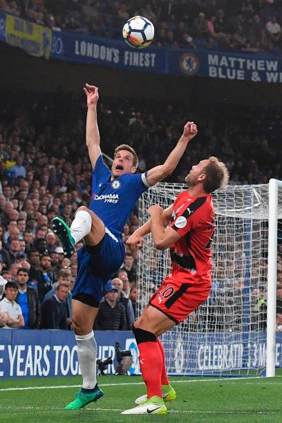 的丁丁冷静 的丁丁冷静